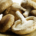 What mushrooms are the healthiest?