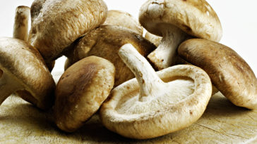What mushrooms are the healthiest?