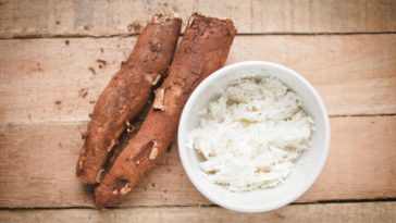 What part of cassava is poisonous?