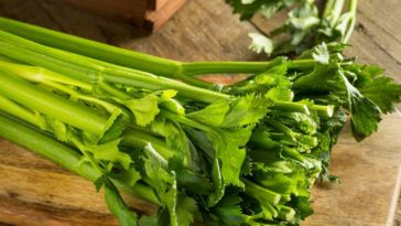What part of celery should you not eat?
