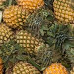 What part of the pineapple is poisonous?