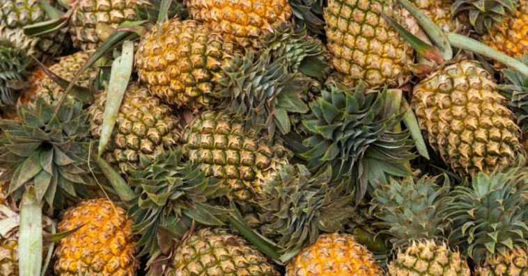 What part of the pineapple is poisonous?
