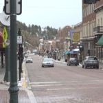 What plant stays alive all year?