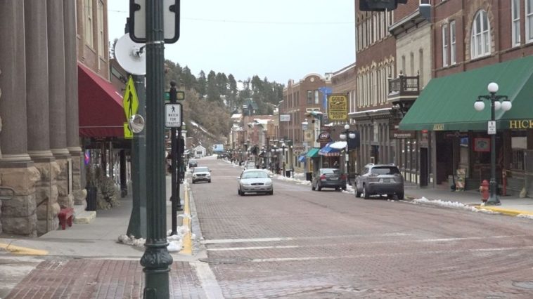 What plant stays alive all year?