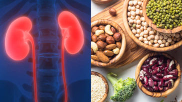 What protein is easiest on kidneys?