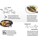 What red wine goes with fish?