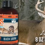 What scent attracts deer the most?