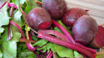 What season is best for beets?