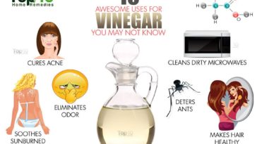 What should you not use vinegar on?