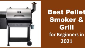 What smoker should a beginner buy?