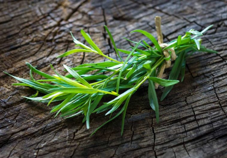 What spice can be used in place of tarragon?
