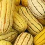 What squash is closest to Delicata?
