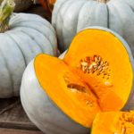 What squash is most like pumpkin?