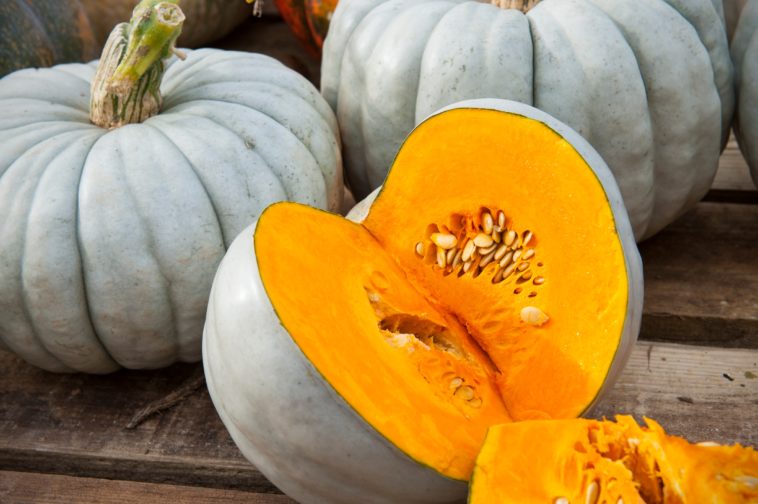 What squash is most like pumpkin?