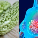 What stops cancer cells from growing?