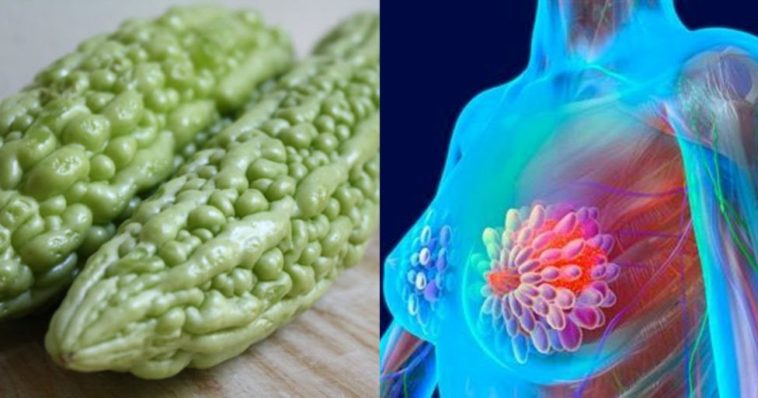 What stops cancer cells from growing?