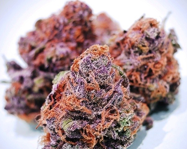 What strain is cotton candy?