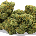 What strain is orange push pop?