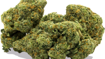 What strain is orange push pop?