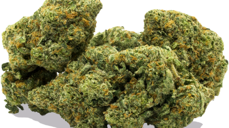 What strain is orange push pop?