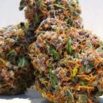 What strain is pink Lemonade?
