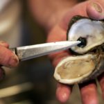 What temperature kills bacteria in oysters?