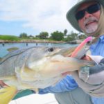 What to do once you've caught a fish?