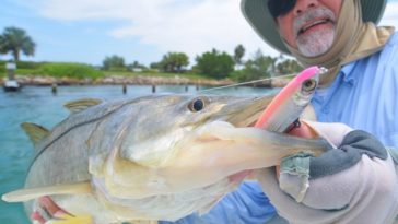 What to do once you've caught a fish?