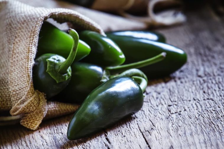 What to do with lots of fresh jalapenos?