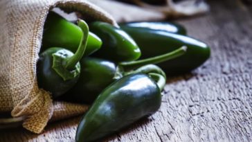 What to do with lots of fresh jalapenos?