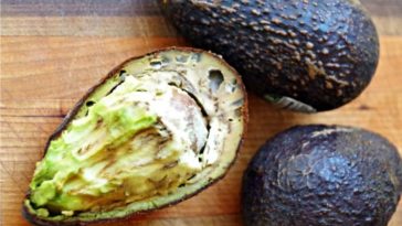 What to do with lots of ripe avocados?