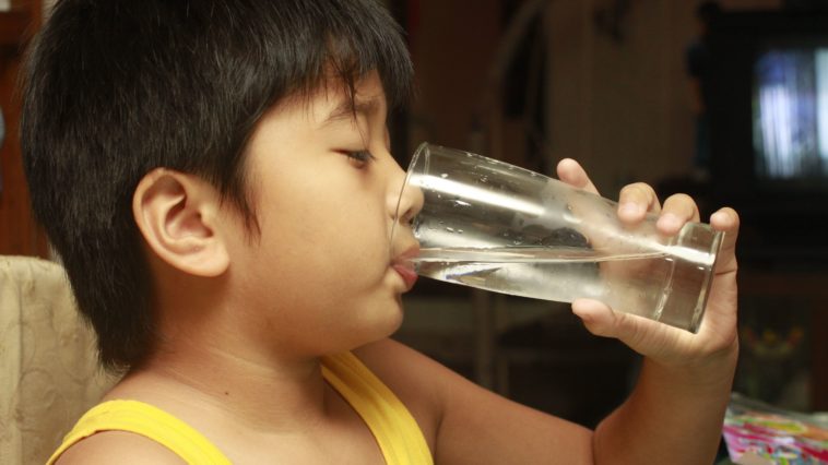 What to eat to stop coughing?