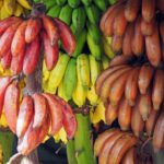 What type of fruit is a banana?