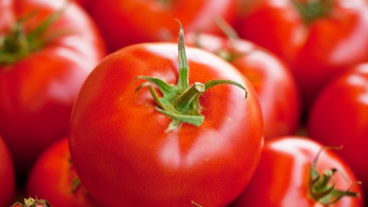 What vegetable is similar to a tomato?