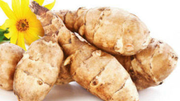 What vegetable looks like a ginger?