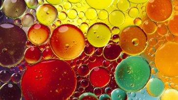 What will emulsify oil and water?