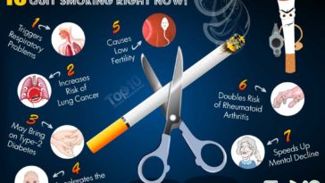 What wood should you not smoke with?