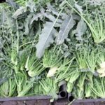 What's Italian broccoli called?