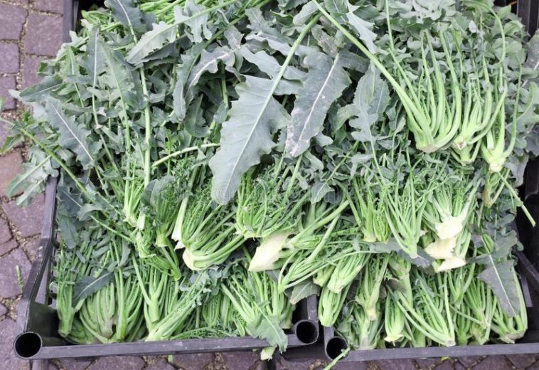 What's Italian broccoli called?