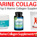 What's the best marine collagen?