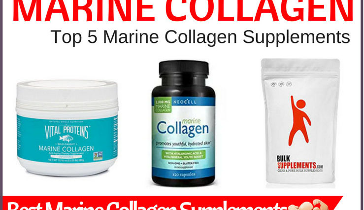 What's the best marine collagen?