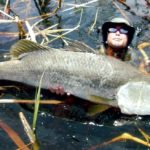 What's the biggest barramundi ever caught?