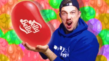 What's the biggest bean in the world?