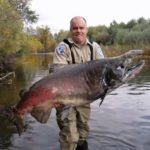 What's the biggest salmon ever caught?