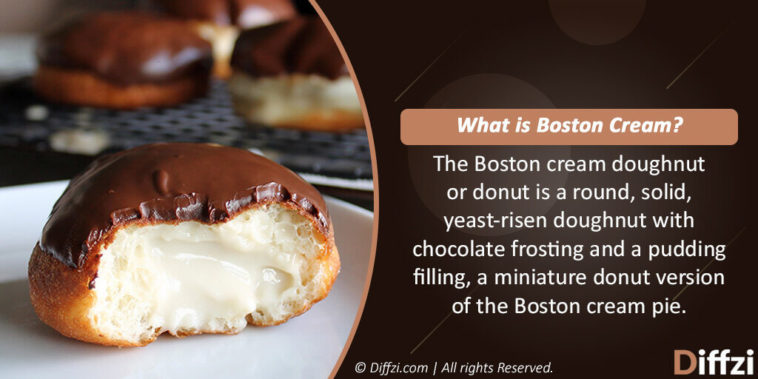 What's the difference between Boston cream and Bavarian cream?
