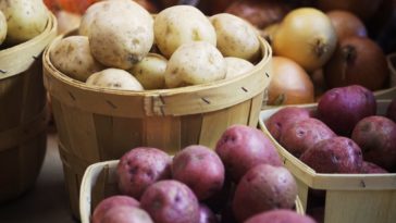What's the difference between Russet and Yukon Gold potatoes?