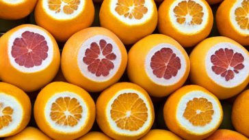 What's the difference between blood oranges and regular oranges?