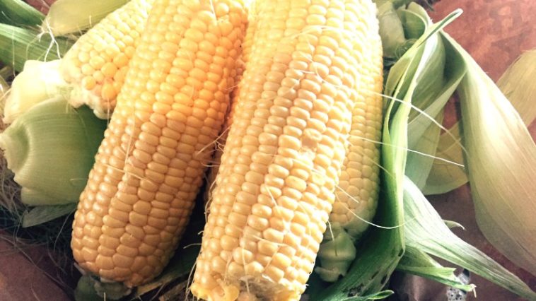 What's the difference between self-rising cornmeal and regular corn meal?