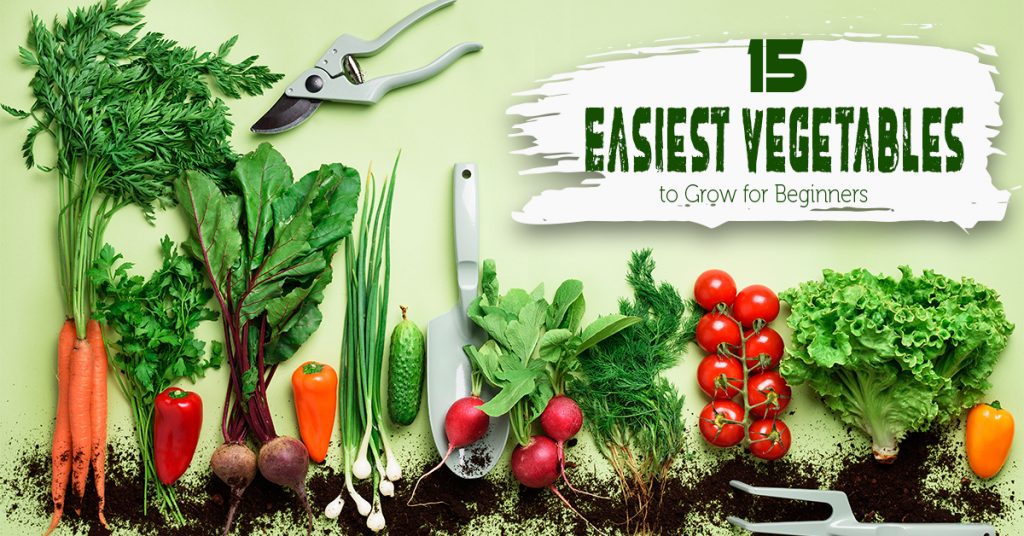 What's the easiest vegetable to grow?