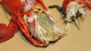 What's the green stuff in lobster?
